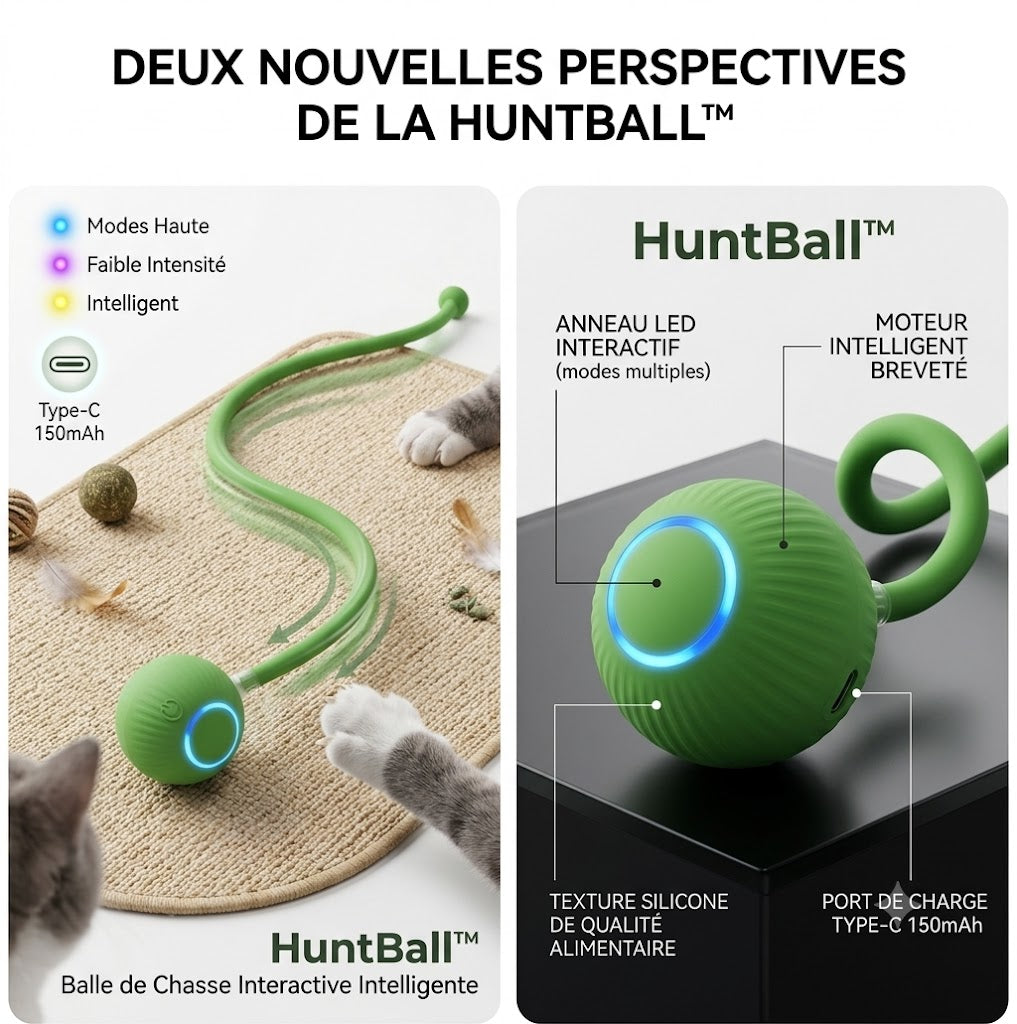 HuntBall™ - La Proie Interactive Intelligente