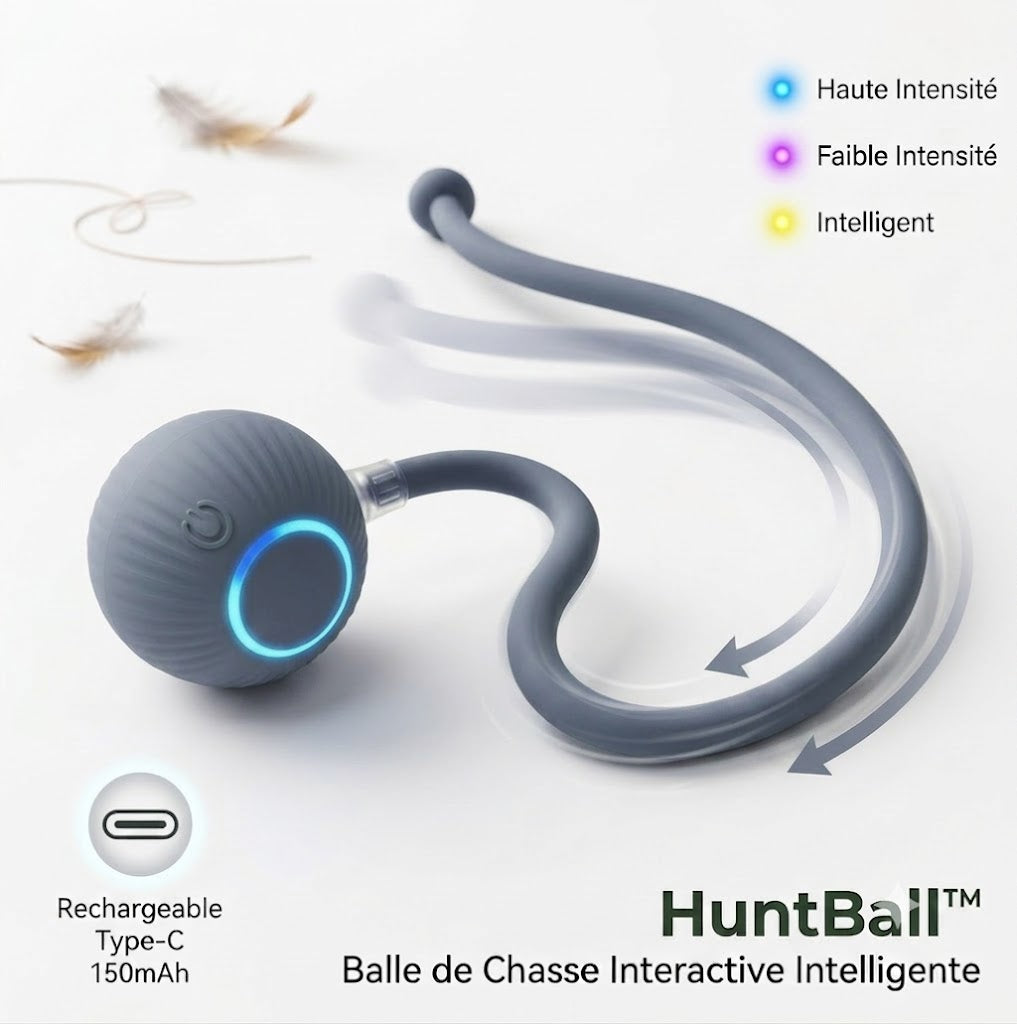 HuntBall™ - La Proie Interactive Intelligente